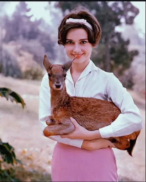 آدری هپبورن 