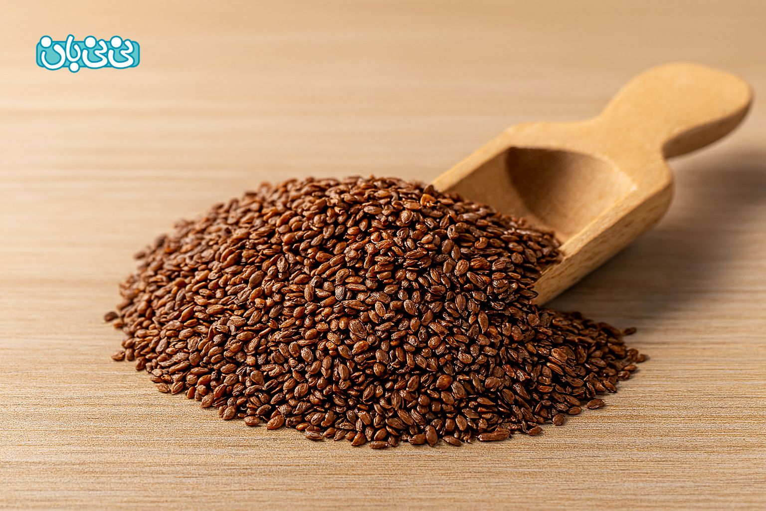 بارهنگ برای باردار شدن