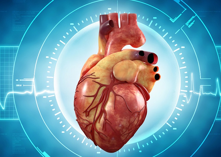 2018-January-Atrial-Fibrillation-and-Heart-Failure-1