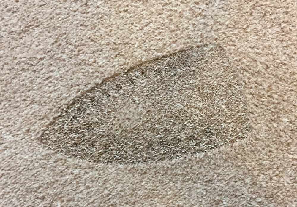 چگونه سوختگی فرش را رفع کنیم؟ / ترفندهای سریع برای از بین بردن سوختگی فرش
