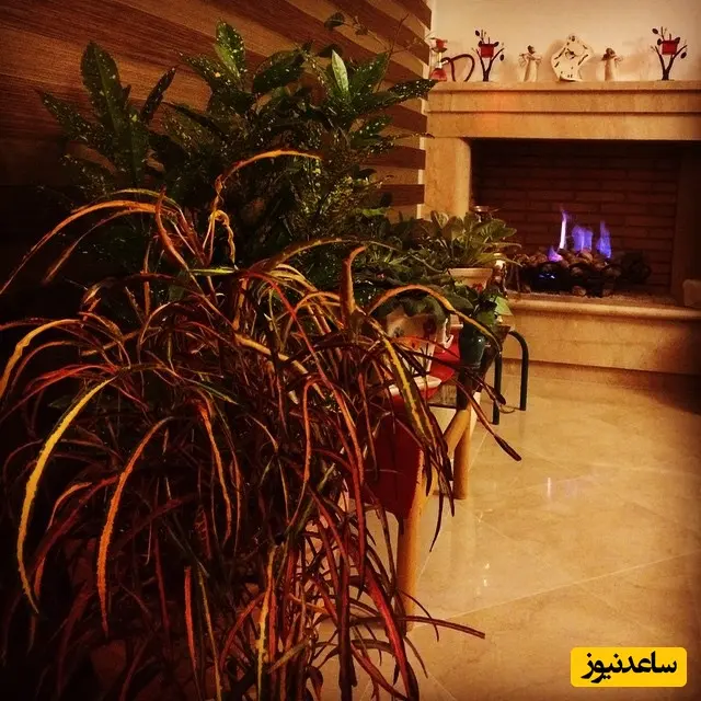 منزل مهراوه شربفی نیا