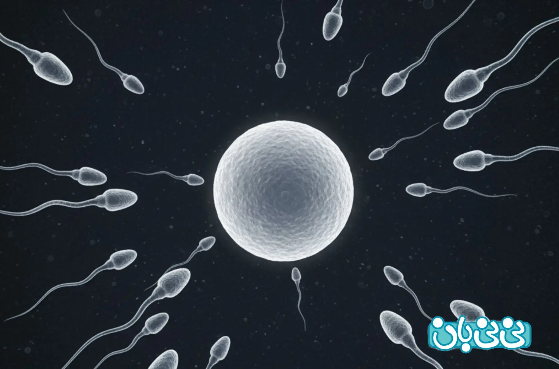 سلامت اسپرم