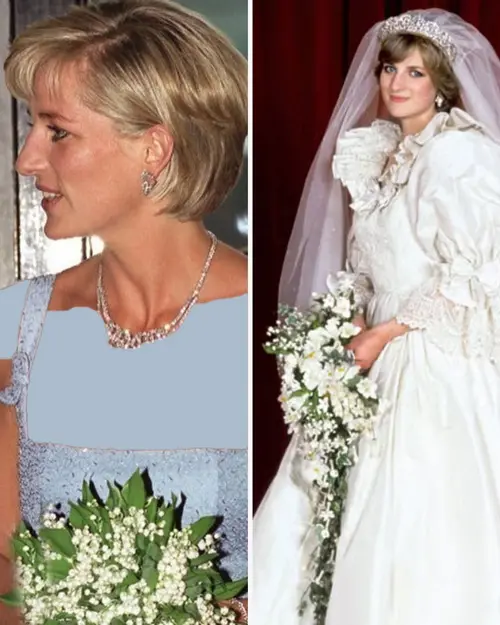 دستهگل سلنا گومز