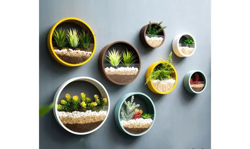 گل-در-خانه-32