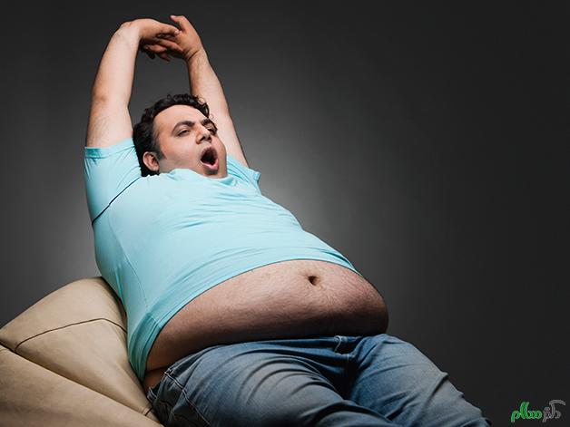 fat