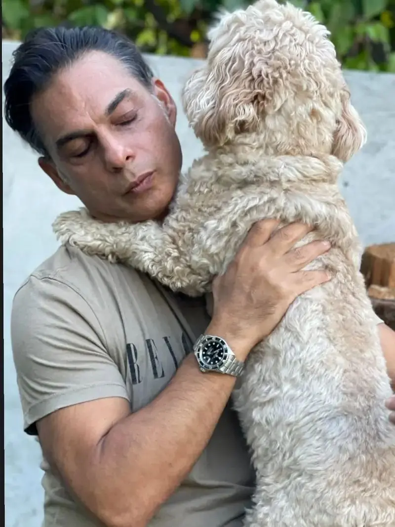 پیمان معادی