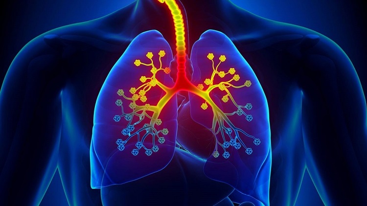 همه چیز درباره شربت کتوتیفن؛ از موارد مصرف تا تداخلات