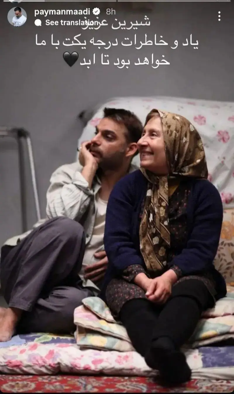 پیمان معادی