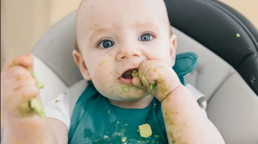 baby_eating_avocado_1296x728_header_jpg_1155×648_10_20_2024_10_21