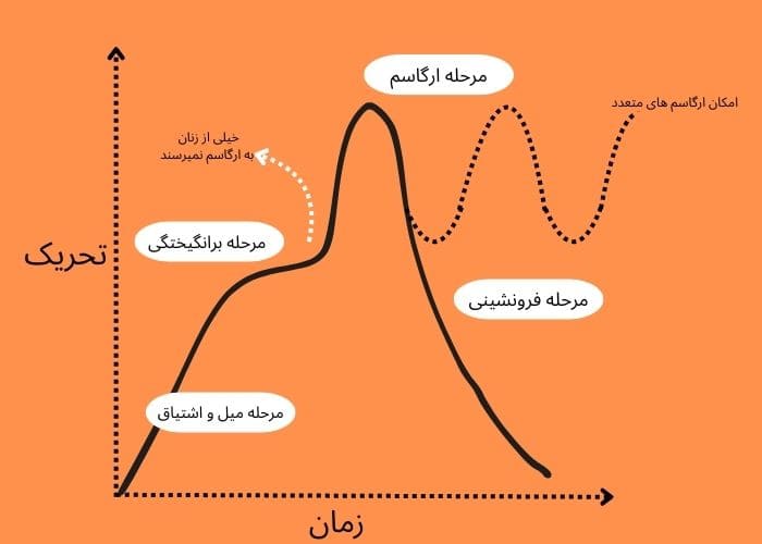 نمودار مراحل ارضا شدن