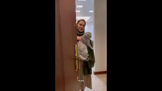 آرام جعفری (1)