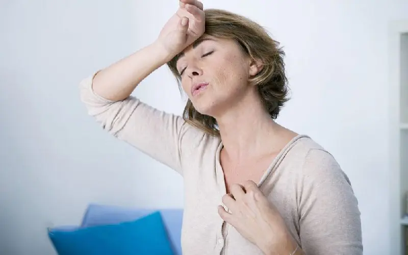 Menopause-4-1