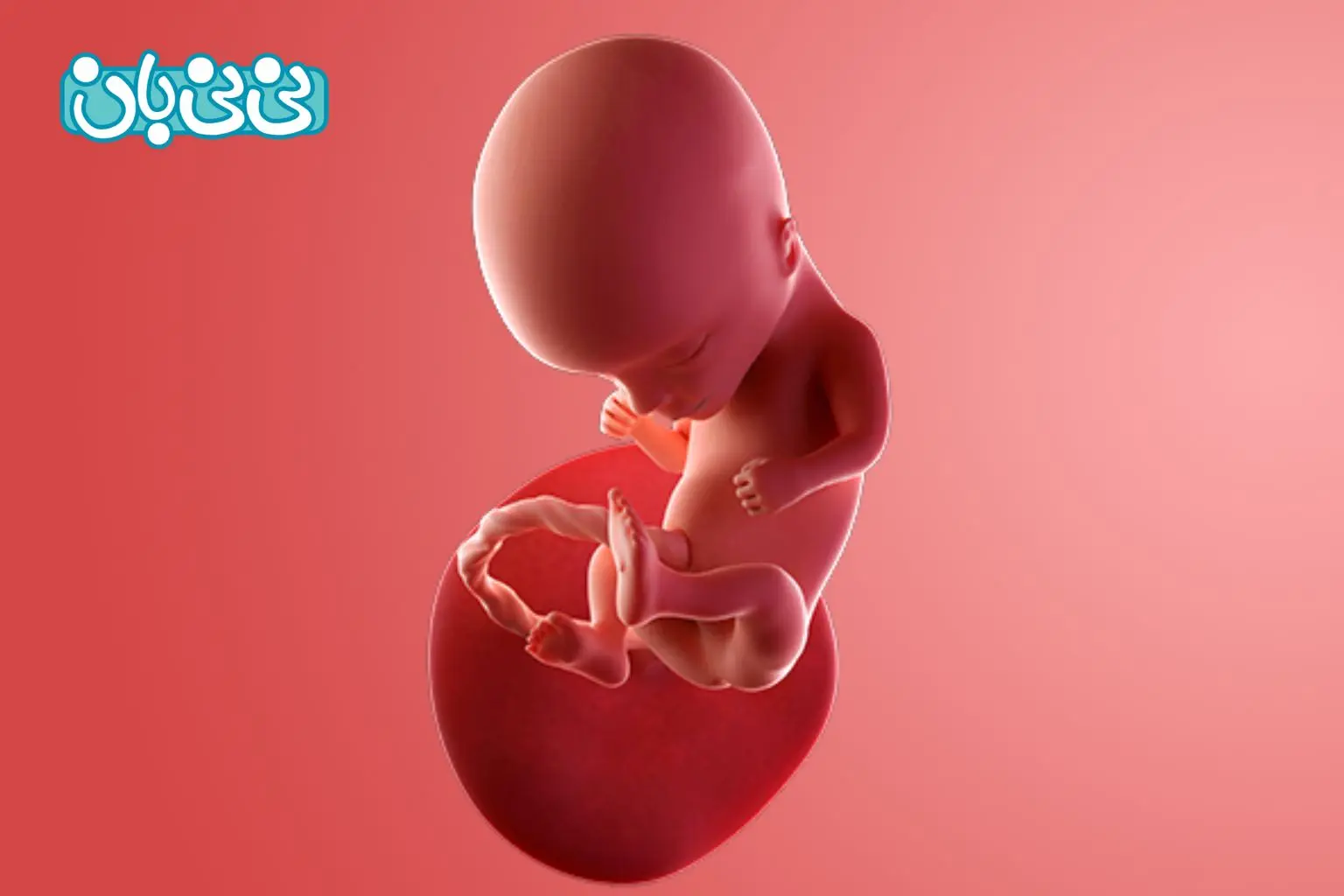 آزمایش_های غربالگری ژنتیکی در سه_ ماهه دوم بارداری کدام_اند