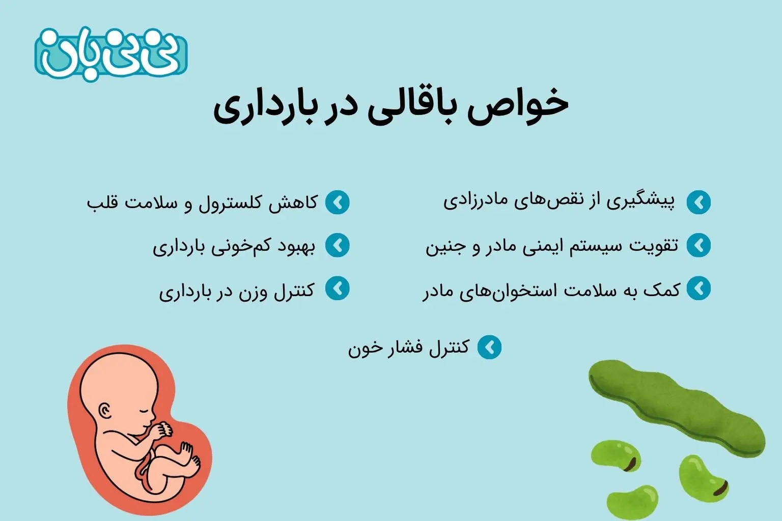 خواص باقالی در بارداری