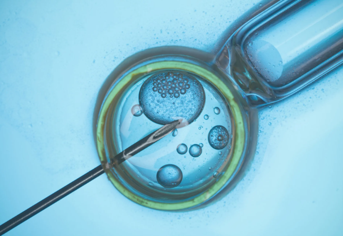 a_rendering_of_in_vitro_fertilization_jpg_2000×1499_10_21_2024_01