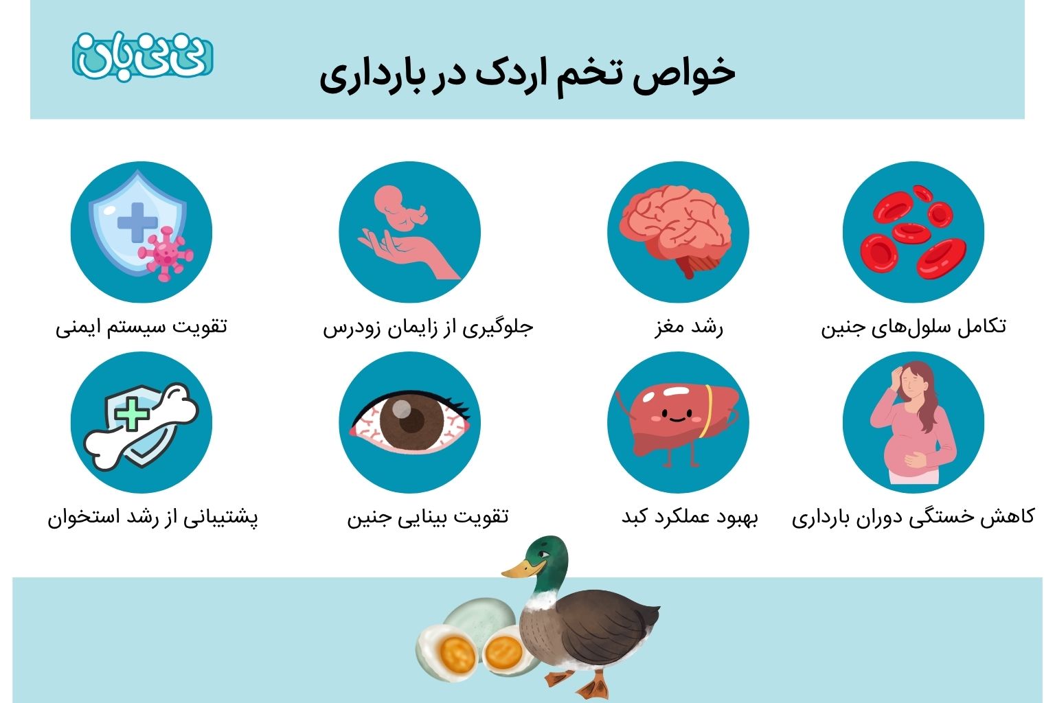 خواص تخم اردک در بارداری