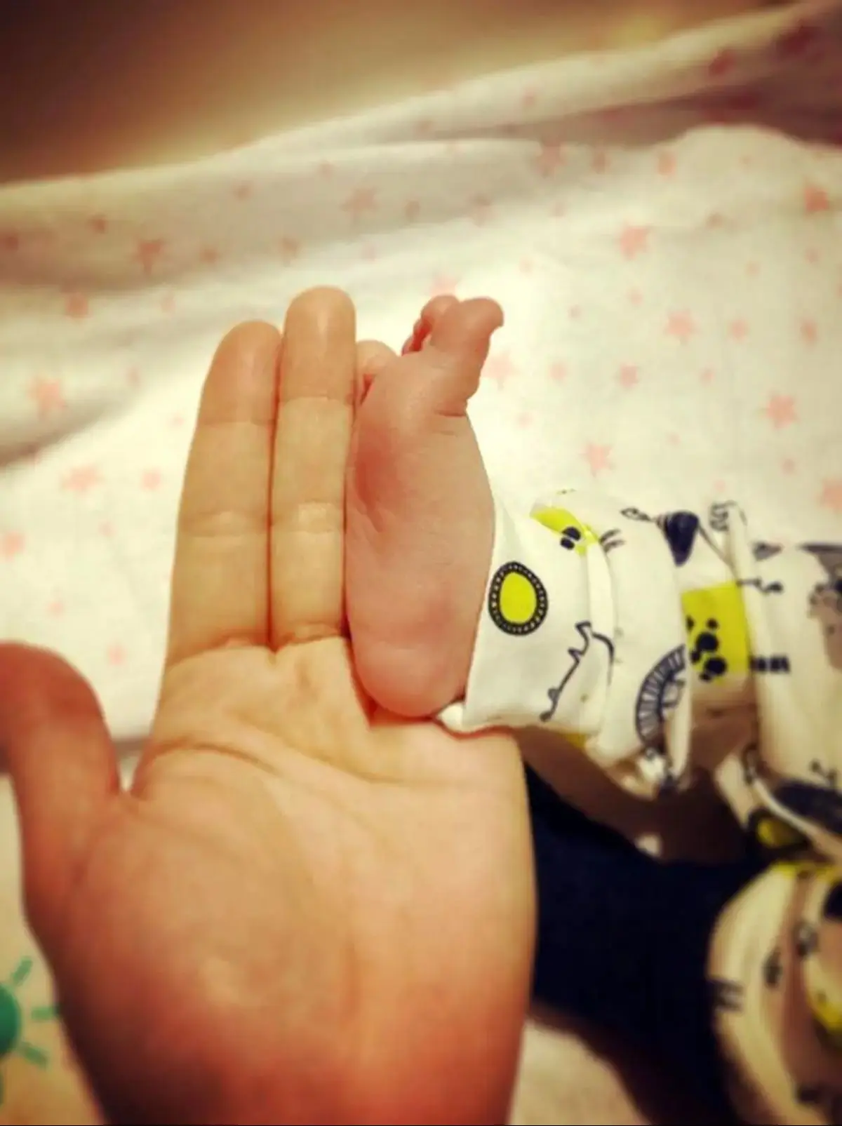 فرناز رهنما