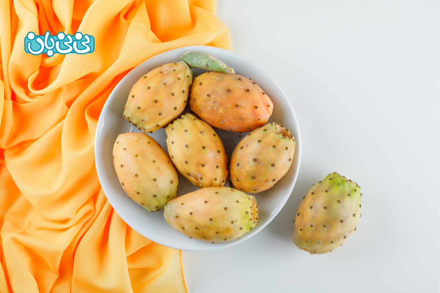 میوه کاکتوس چیست