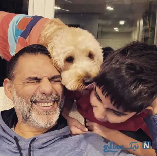 پیمان معادی