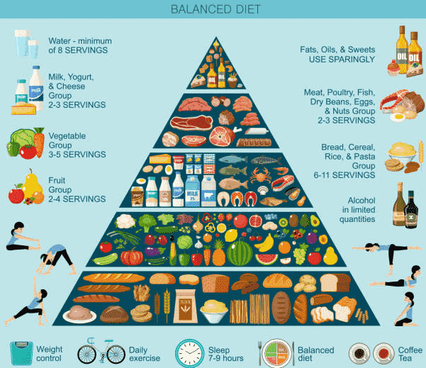 balanced-diet