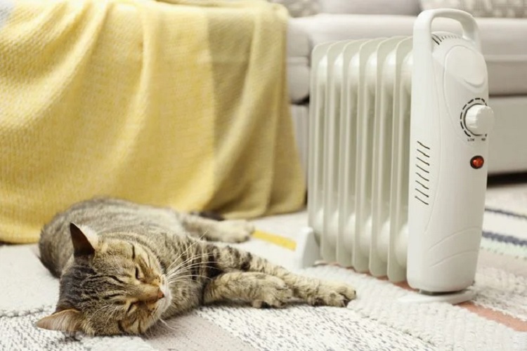 How-To-Keep-Your-House-Warm-During-a-Power-Outage_GettyImages-1368904812