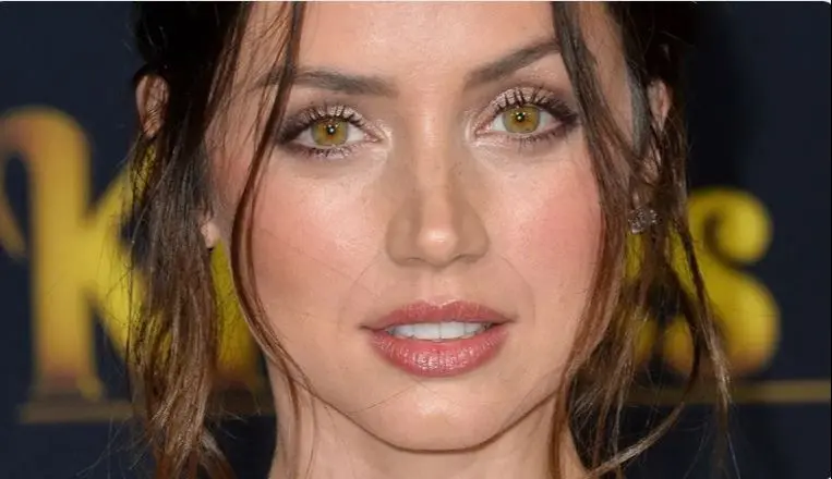 آنا د آرماس