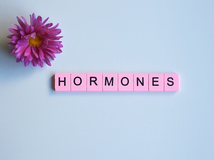 hormones-1024x768-112