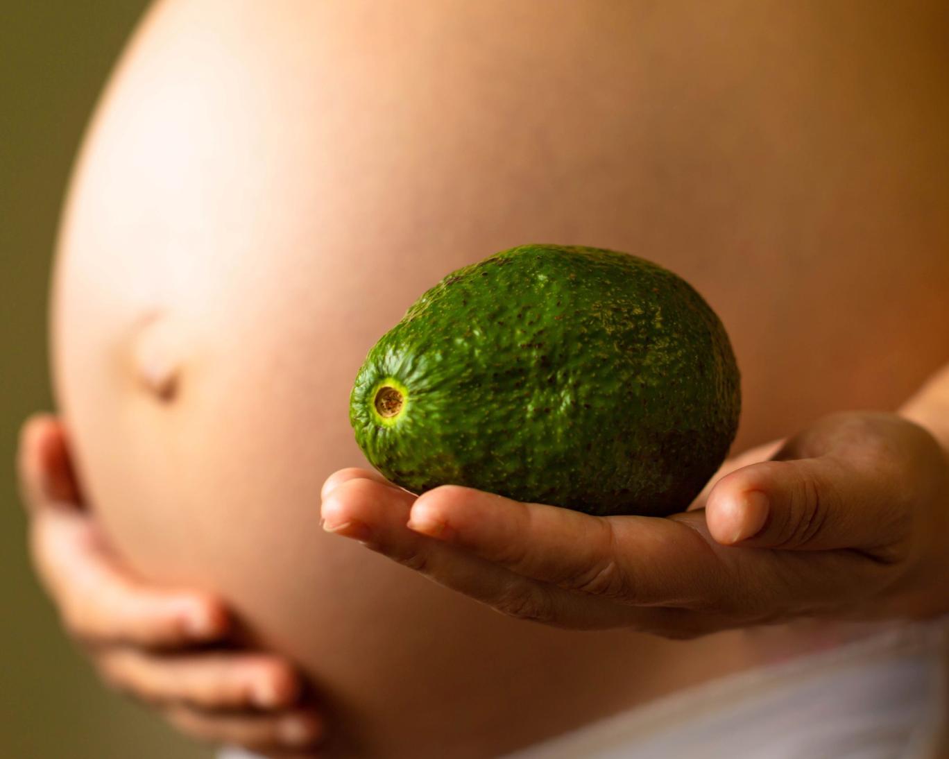 Avocado_0