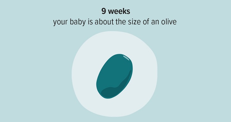 هفته نهم بارداری