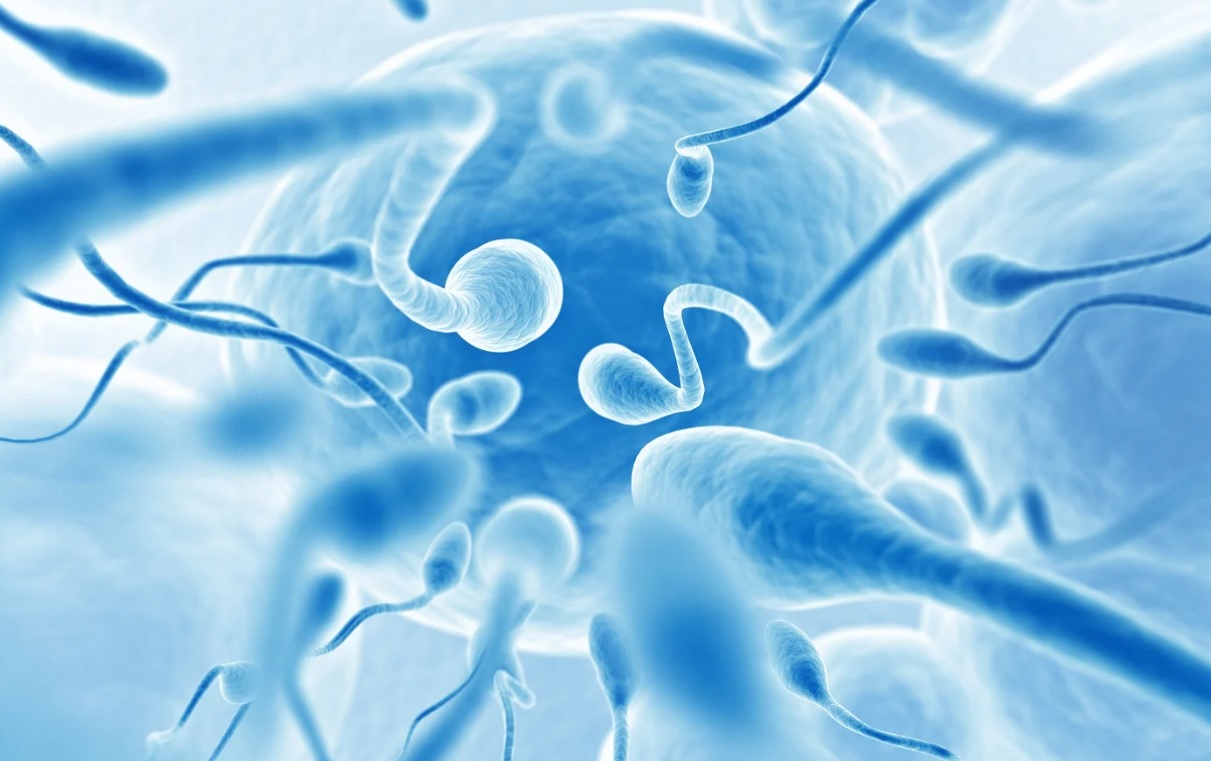 علت کم تحرکی اسپرم چیست؟