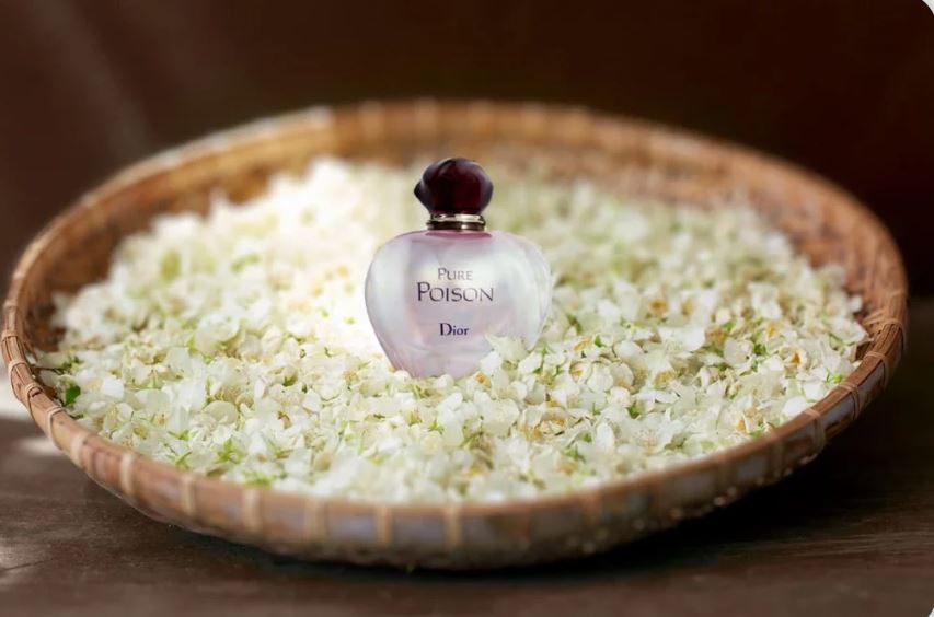 عطر