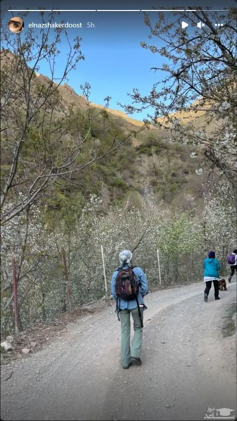 الناز شاکردوست