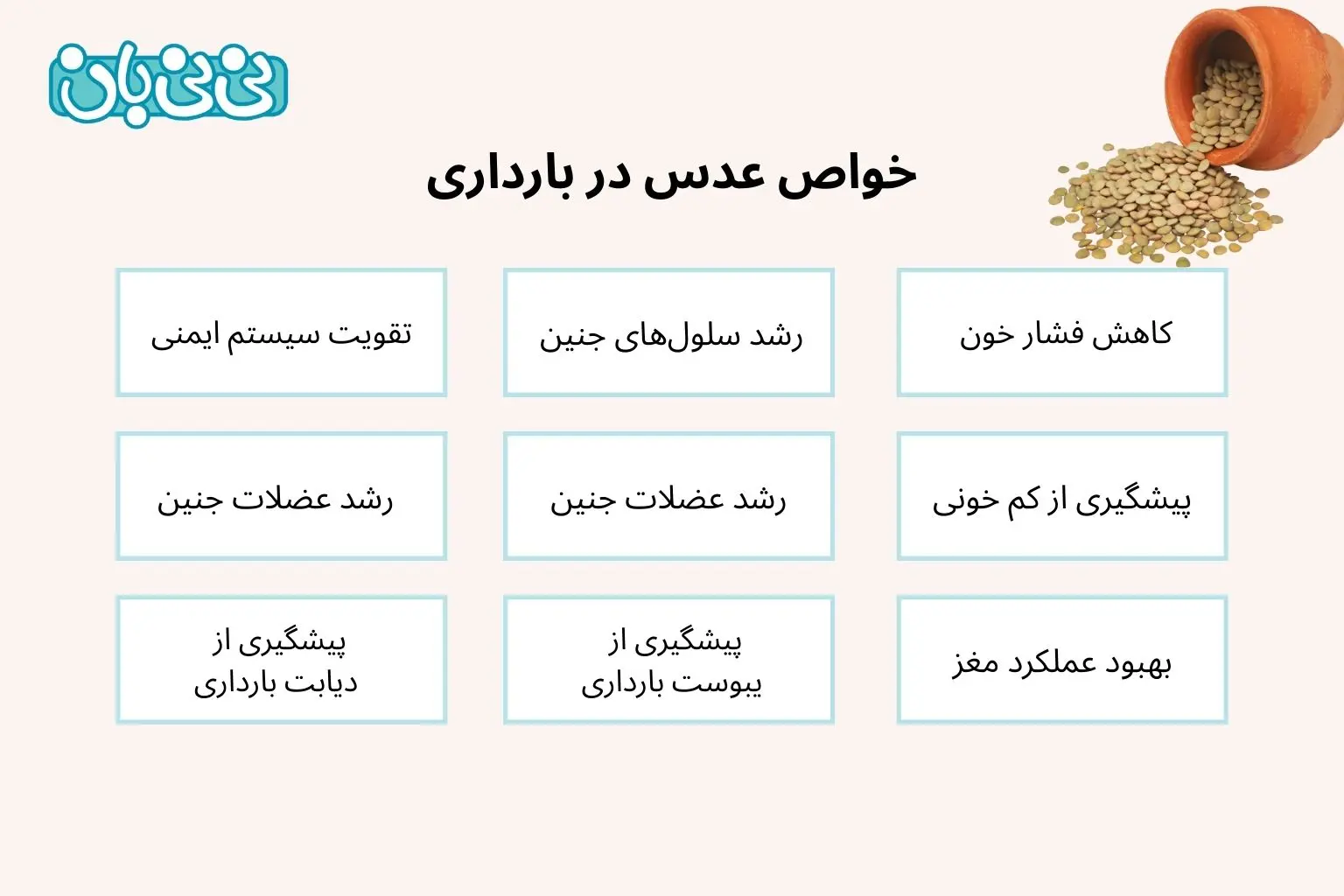 خواص عدس در بارداری