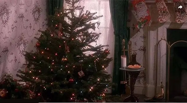 تنها در خانه