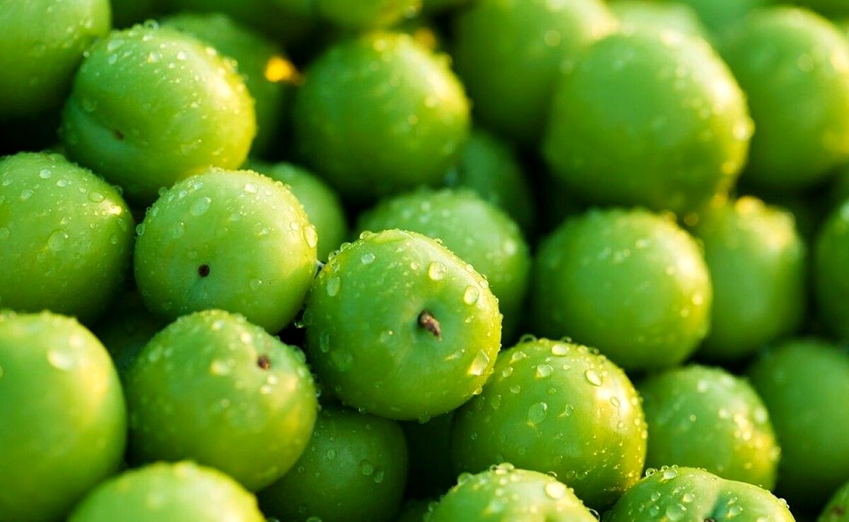 گوجه سبز