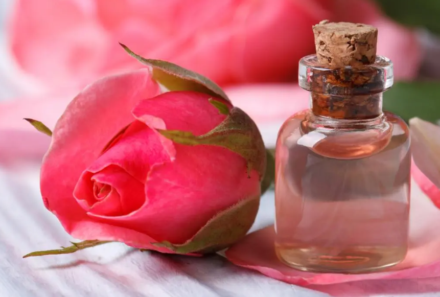 rose_water_in_small_glass_bottle_next_to_rose_flower_jpg_1100×734