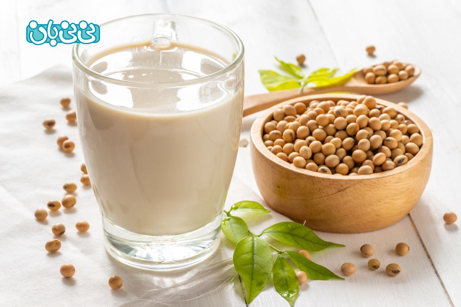 شیر سویا در بارداری
