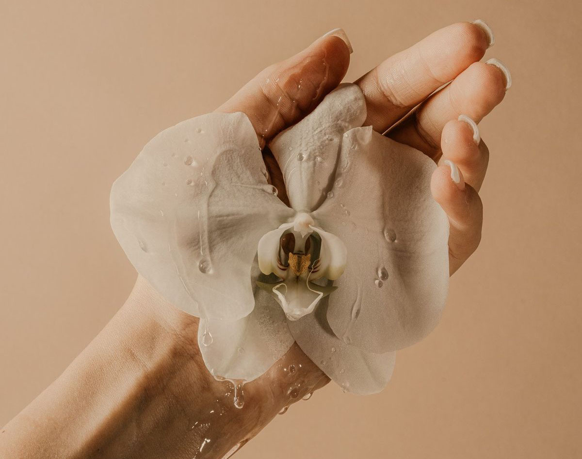 2labiaplasty