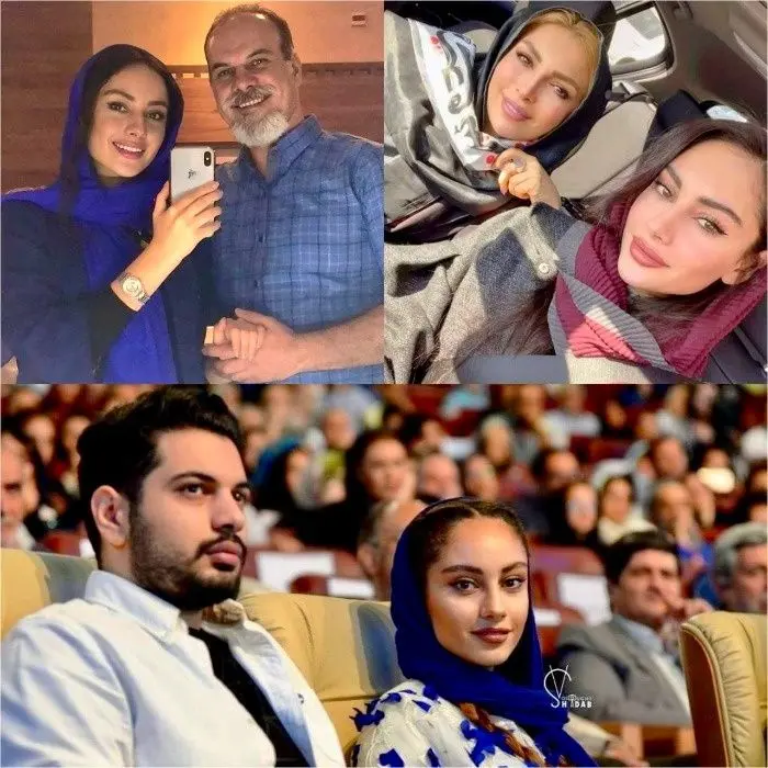 ترلان پروانه