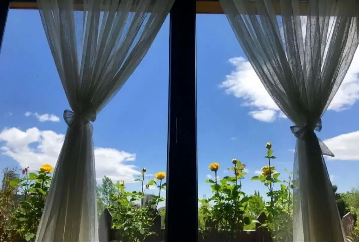 سمیرا حسن پور