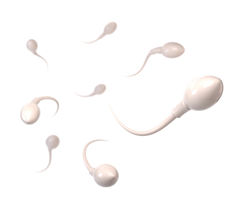 low-sperm-motility