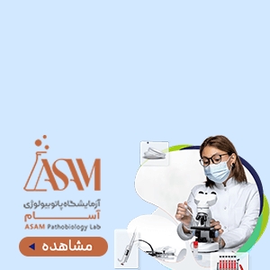 آسام / شناور حمایتی