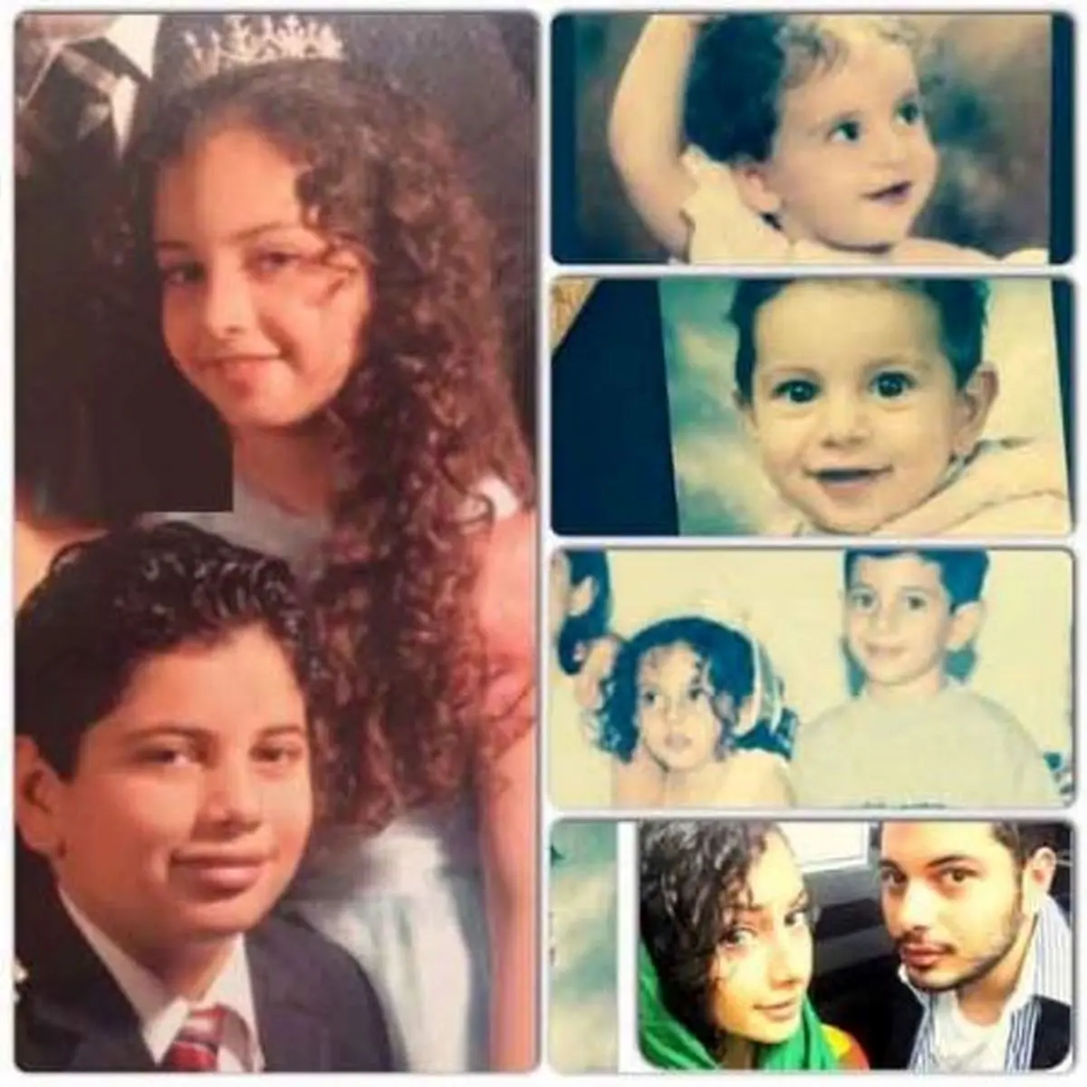 ترلان پروانه