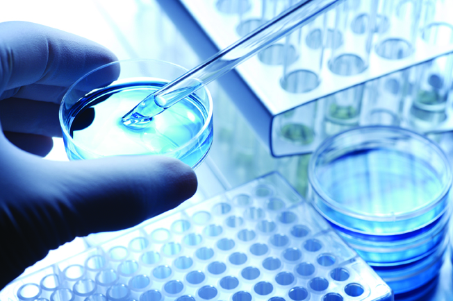 IVF45667