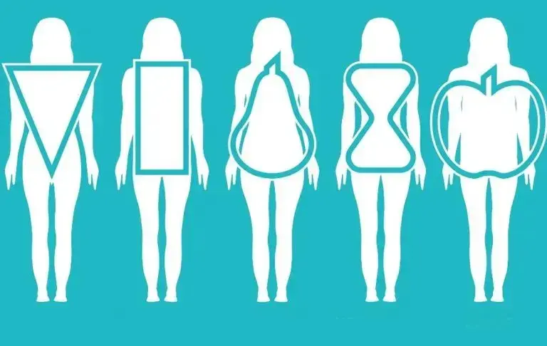 تایپ_های_بدنی-768x486