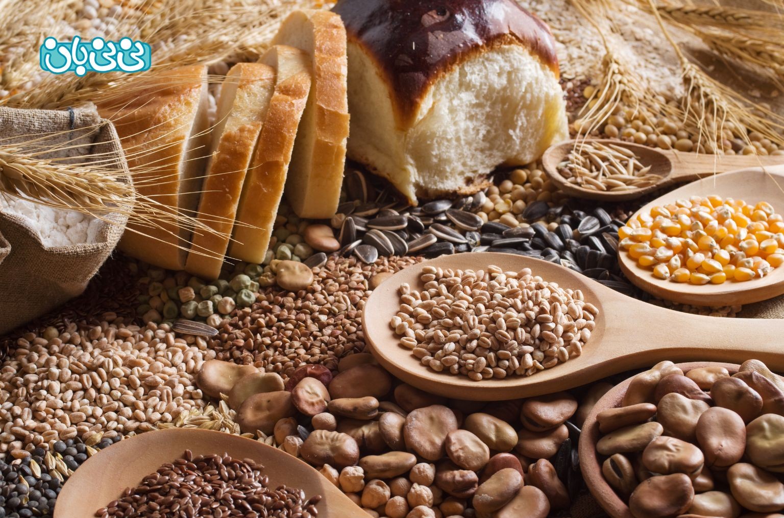 میزان مصرف غلات در بارداری چقدر باید باشد
