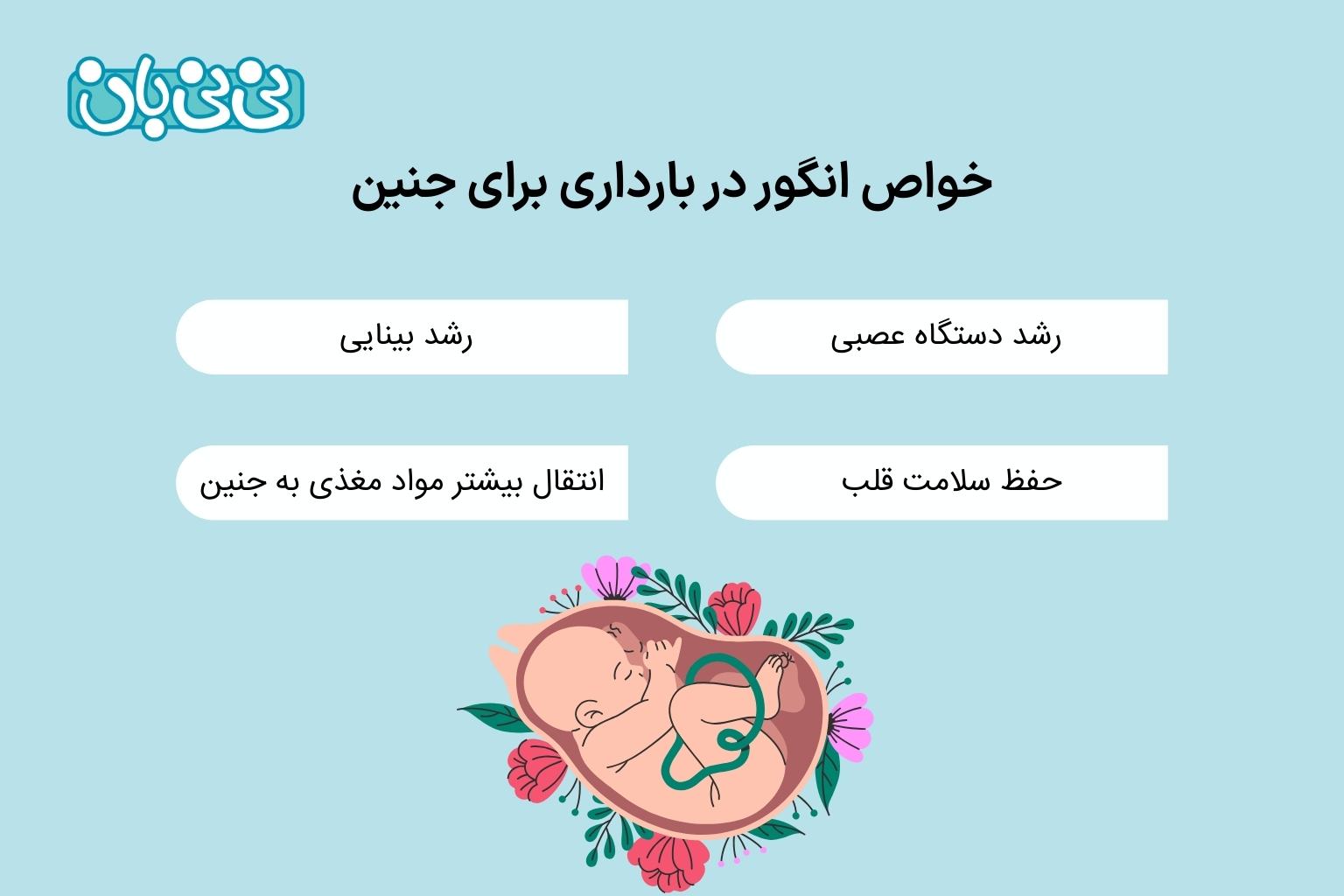 خواص انگور در بارداری برای جنین
