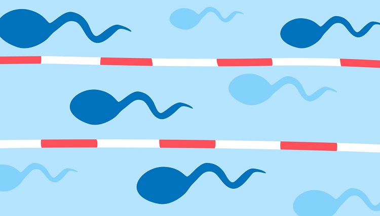 Illustration_is_my_sperm_healthy111