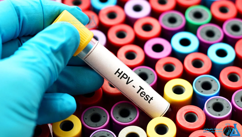 HPV Genoty
