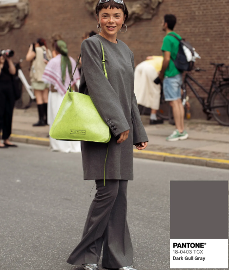 2024_fall_color_trends_pantone_dark_gull_gray_jpg_1360×1600_10_09